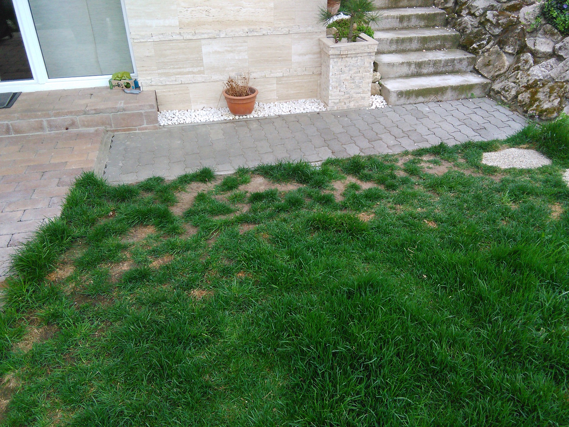 előtte...a kutyák sem tétlenkedtek